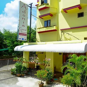Adonis Patong